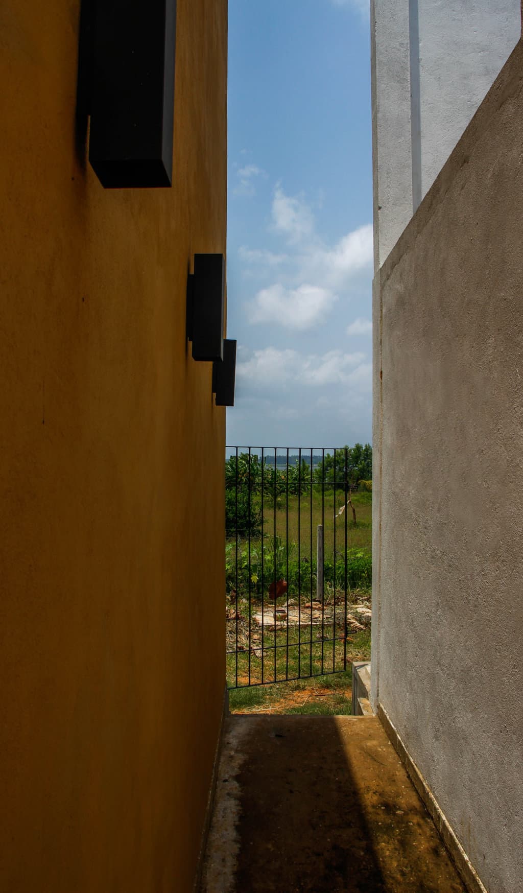 Gallery image 12