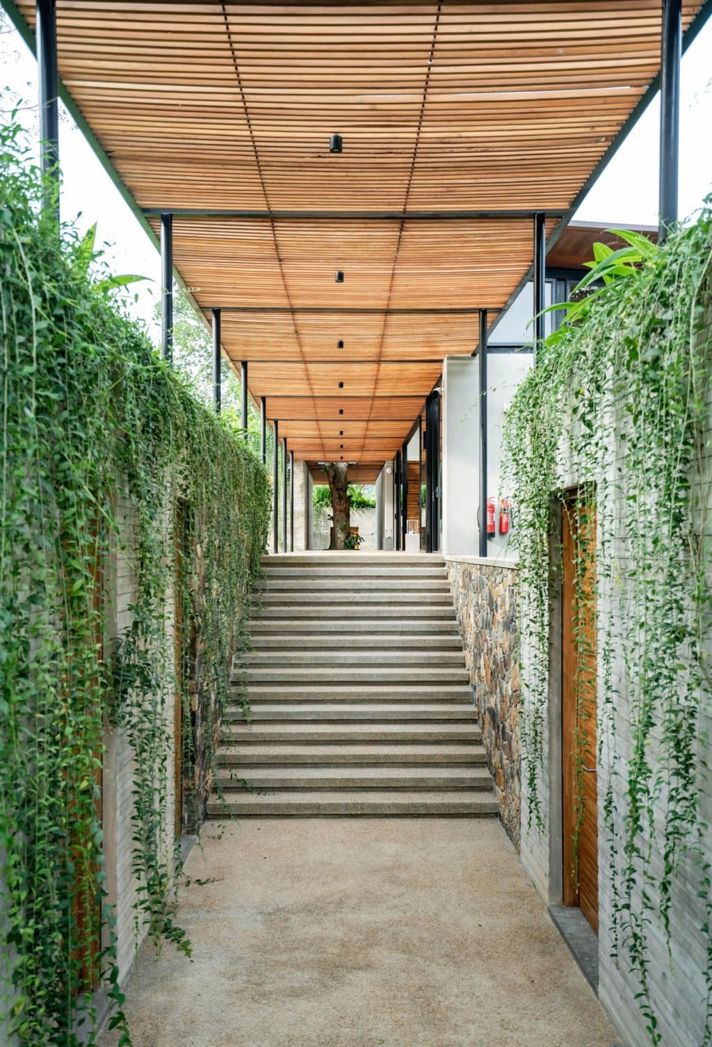 Gallery image 12