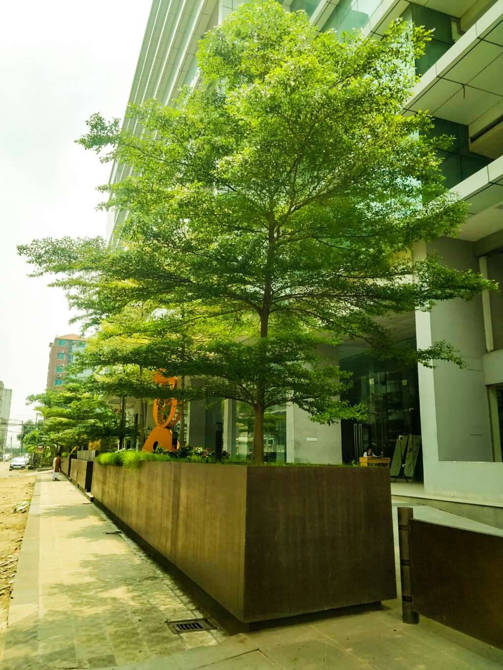 Gallery image 6