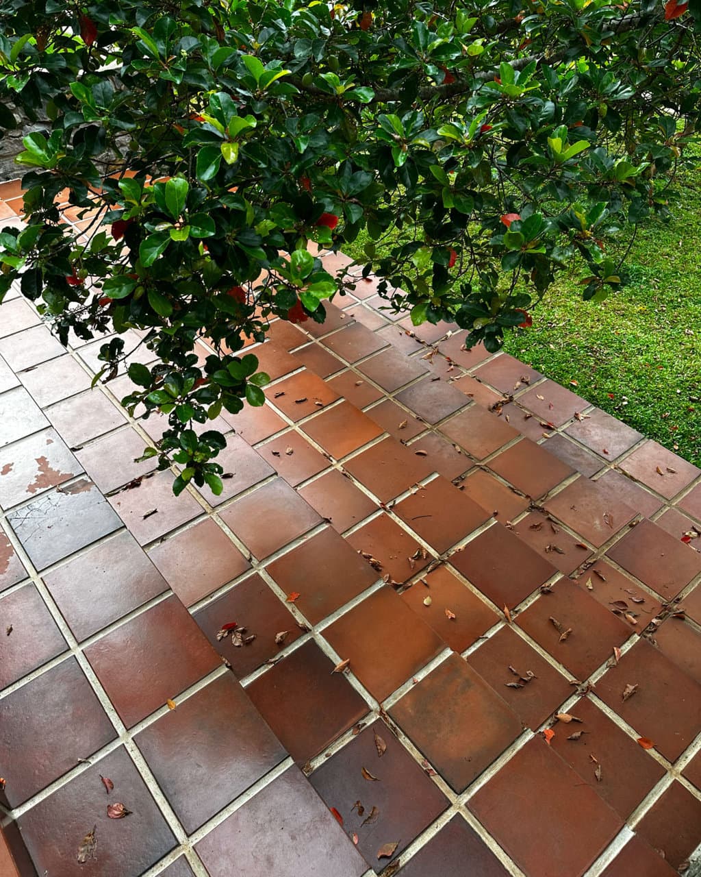 Gallery image 21