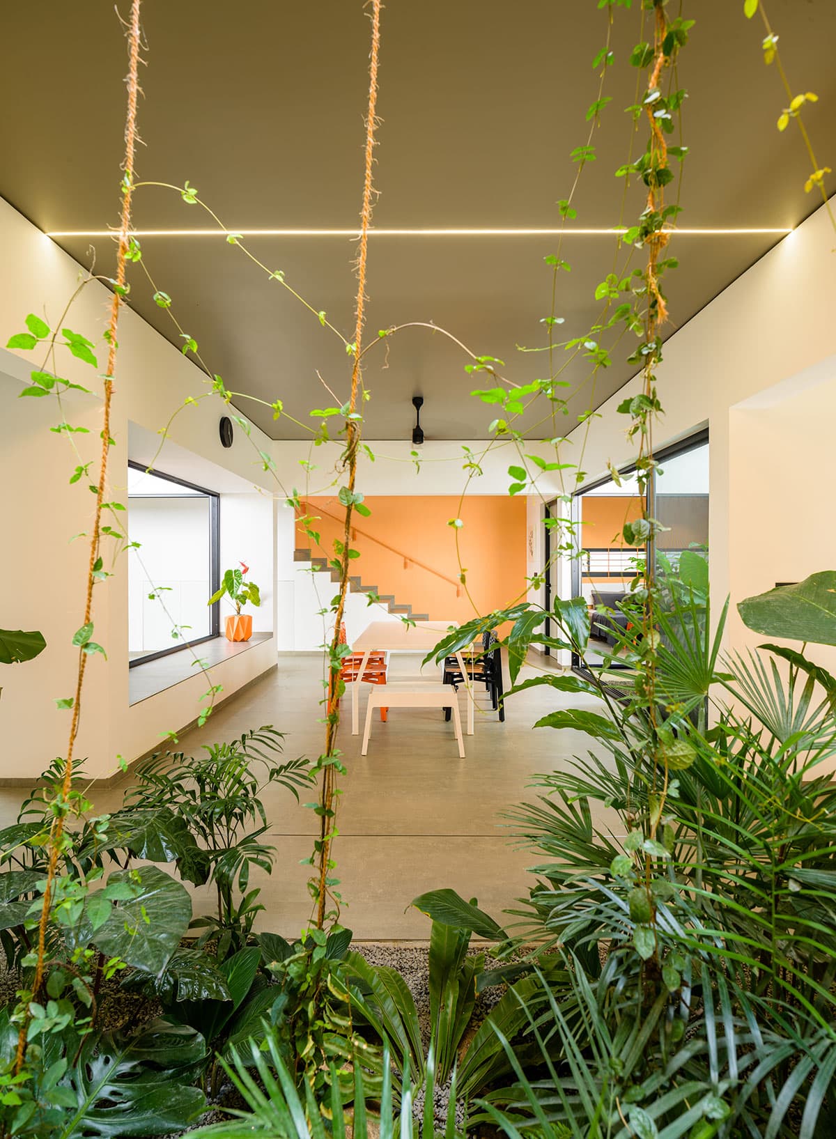 Gallery image 19