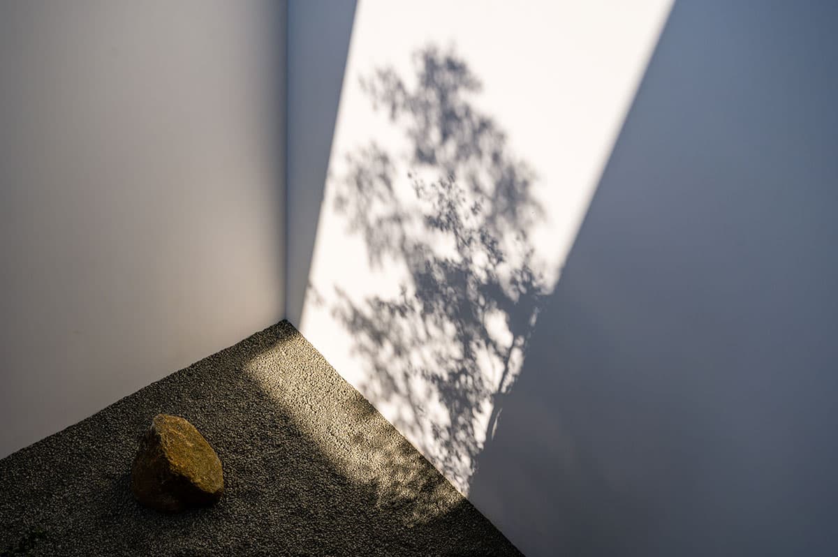 Gallery image 49