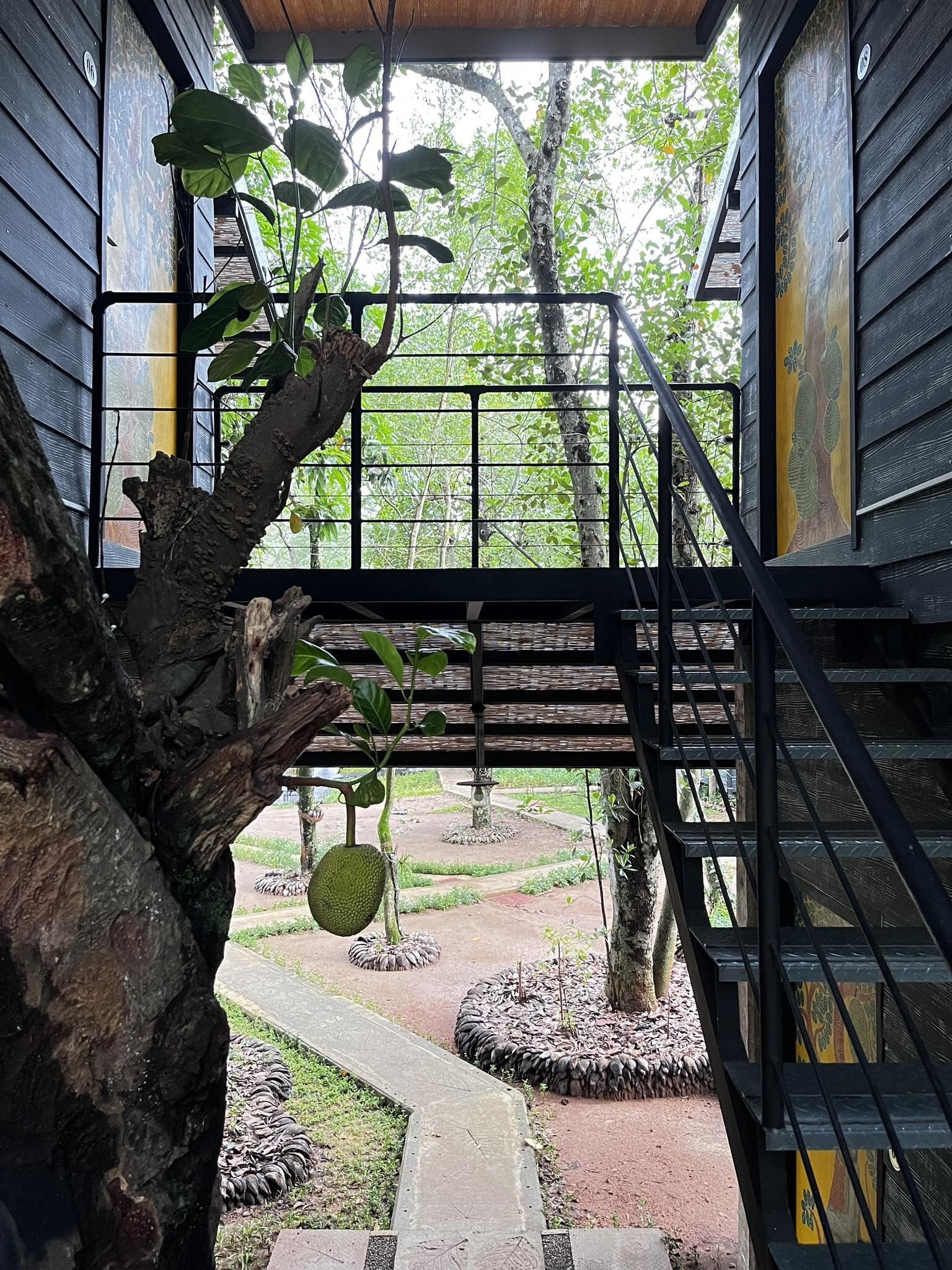 Gallery image 6