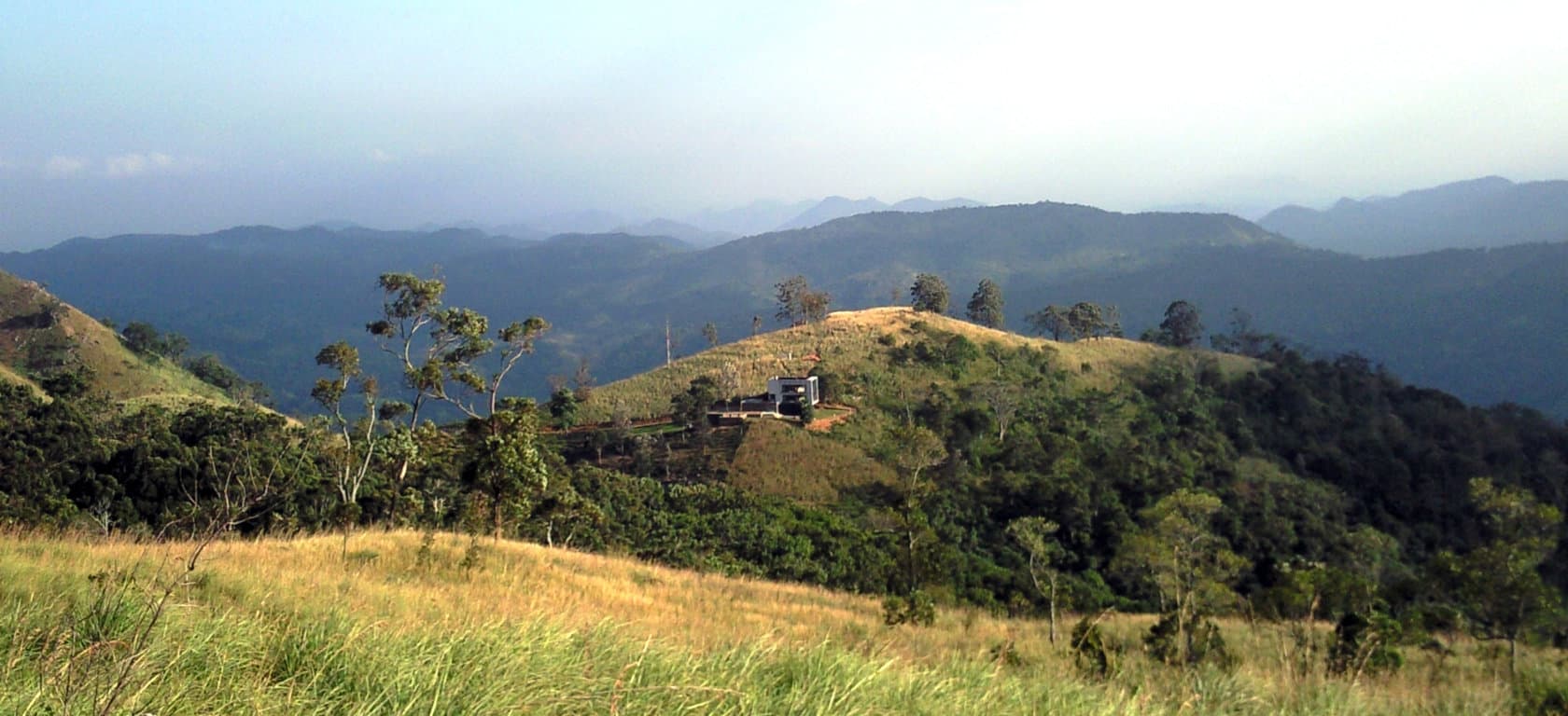 Gallery image 13