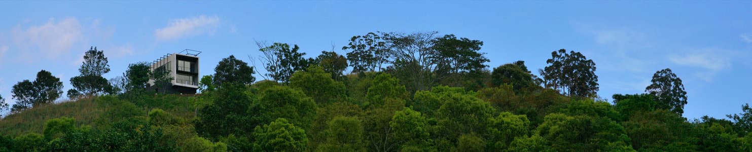 Gallery image 14