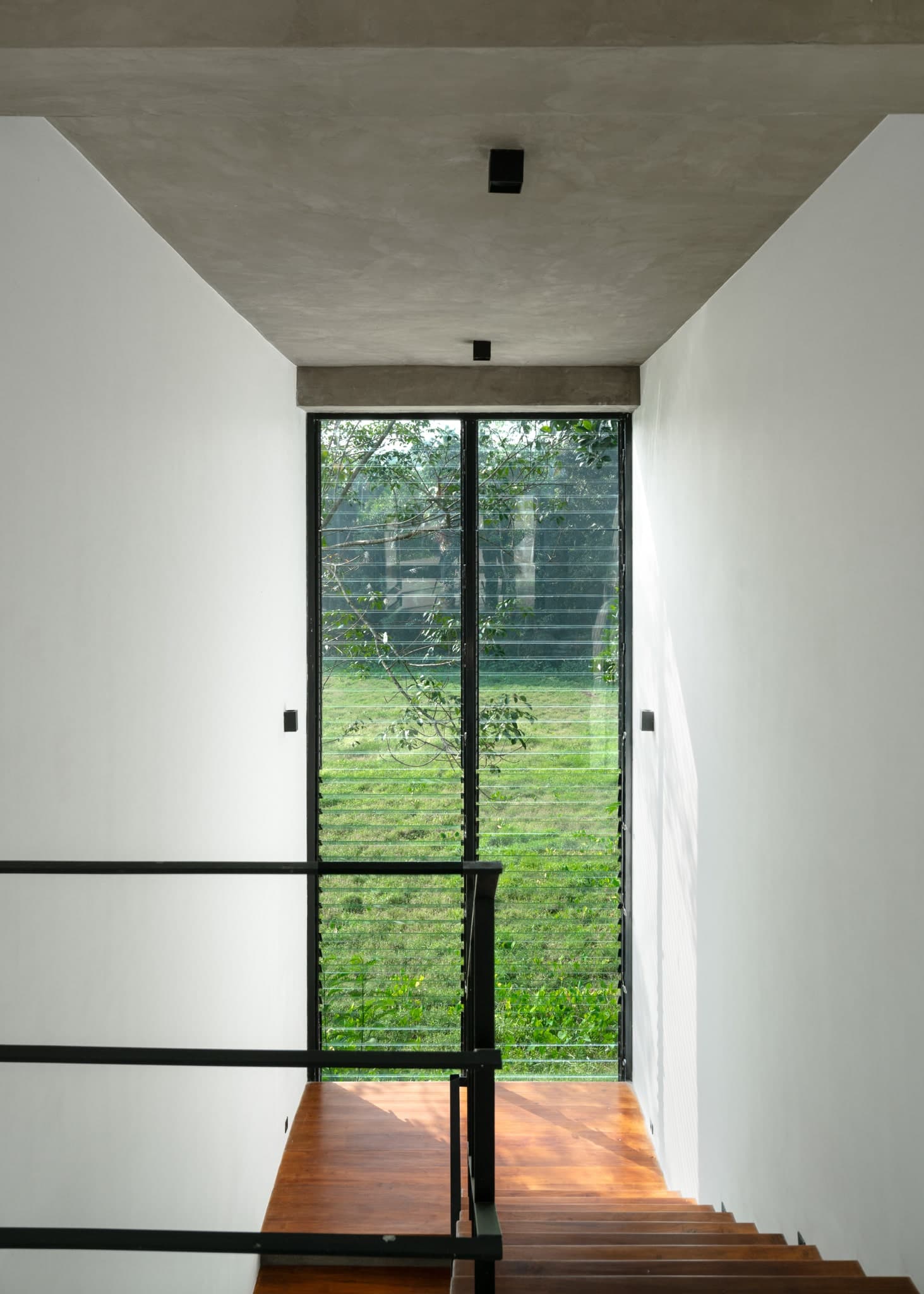 Gallery image 12
