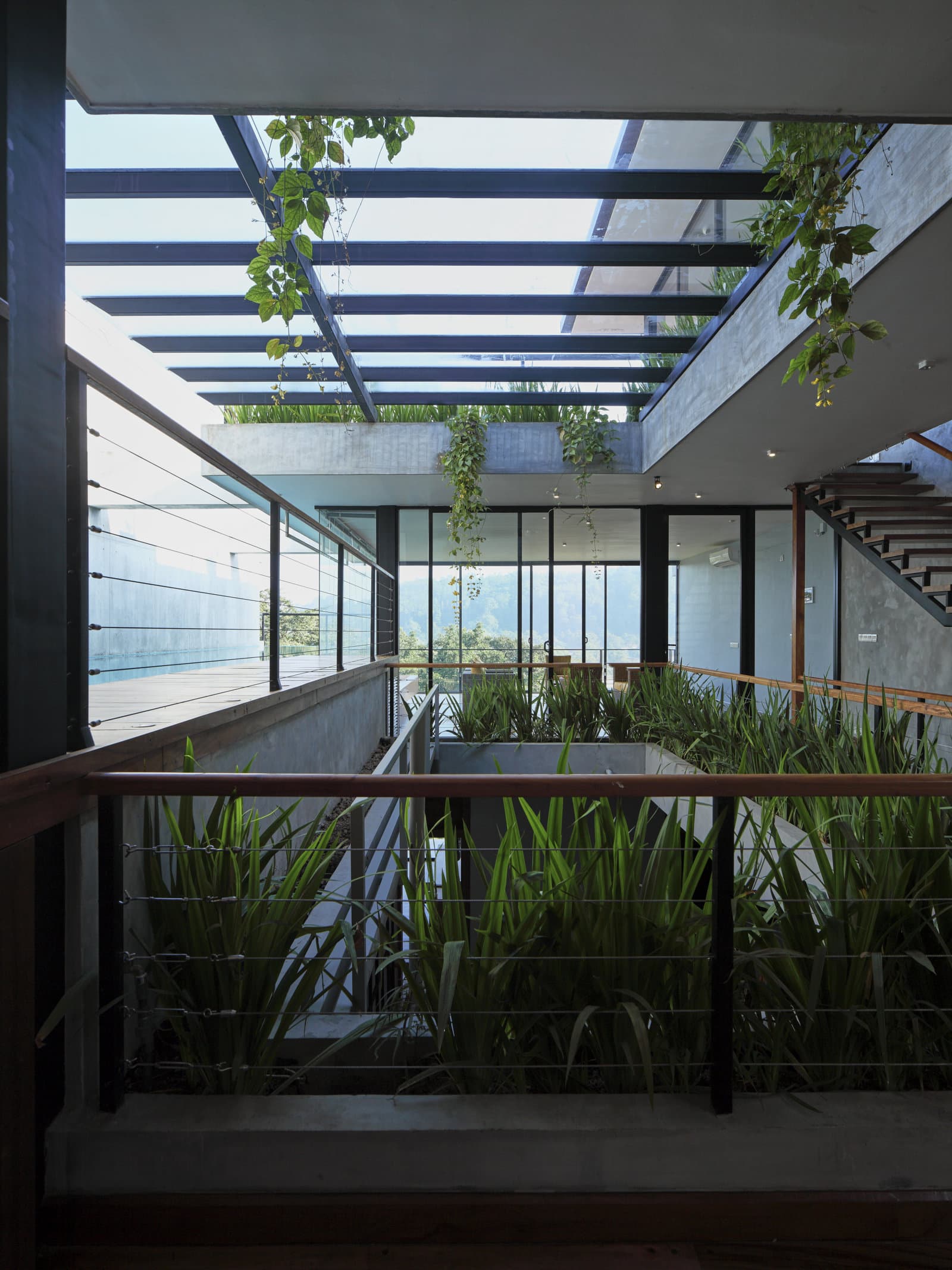 Gallery image 5
