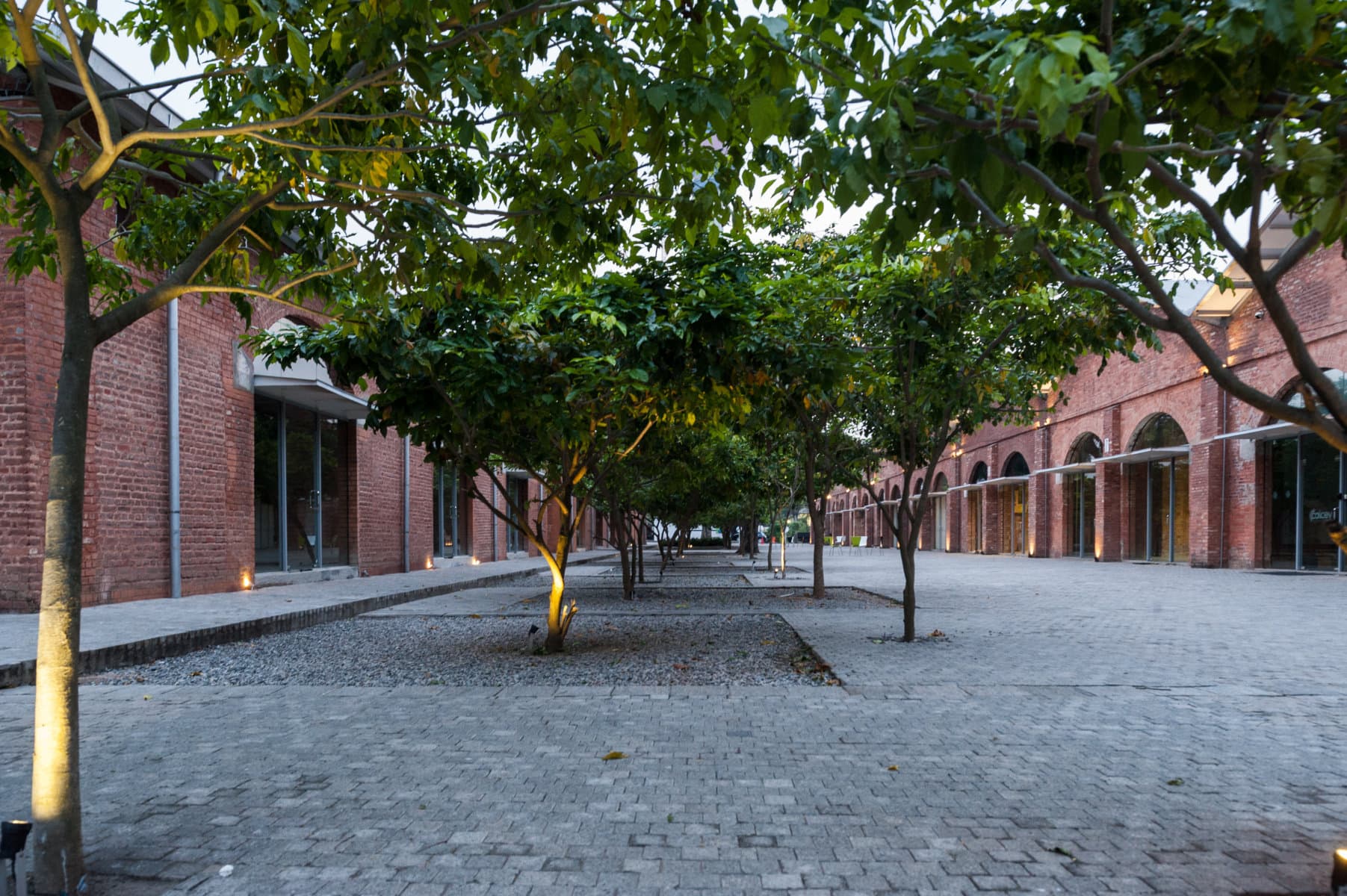 Gallery image 7